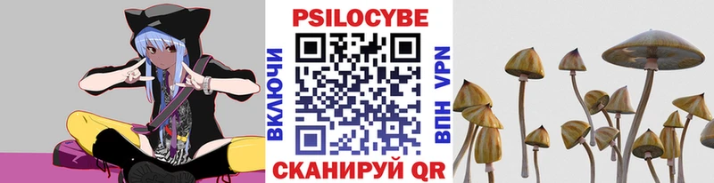 Галлюциногенные грибы MAGIC MUSHROOMS  Купить где  Сергач 